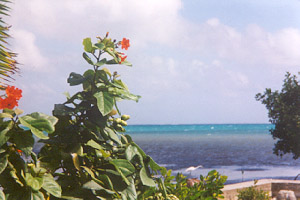 shore scene