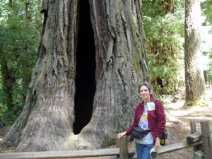 Barb and tree