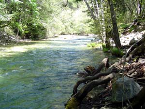 Big Sur River