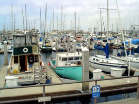marina