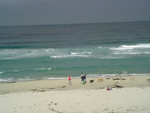 beach