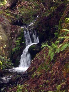 falls