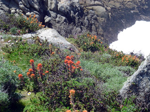 Granite point