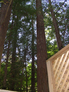 view from hot tub