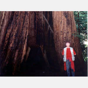 John and big tree