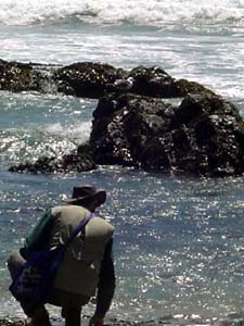 John looking at rocks