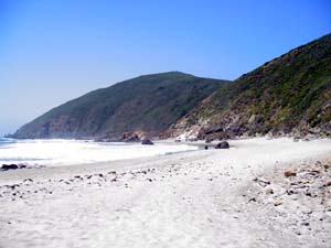Pfeiffer Beach