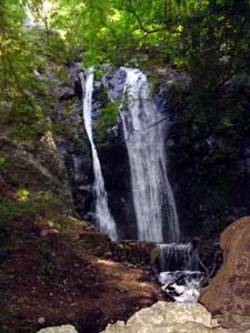 Pfeiffer Falls