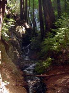 Redwood Creek