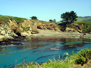 pit
