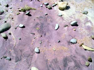 purple sand