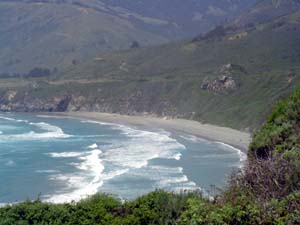 Sand Dollar Beach