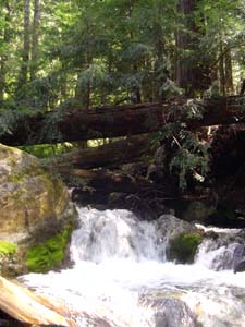 creek