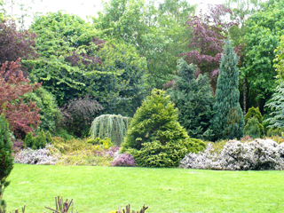 park