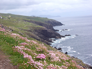 coastal view