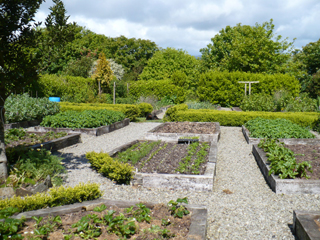 Glebe garden