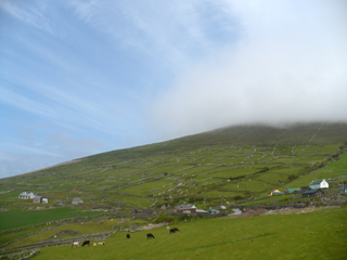 hillside