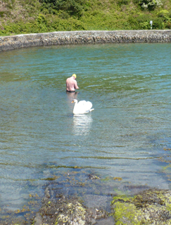 Lough Hyne