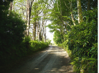 wrong turn