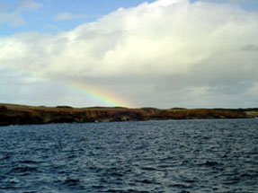 rainbow