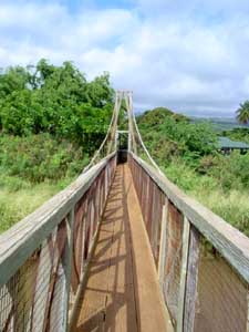 bridge