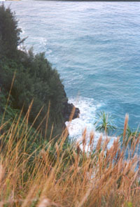 along Napali
