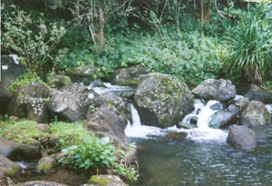 Garden Falls