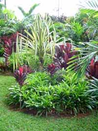 yard