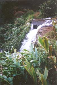 lower falls