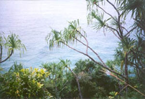 Napali
