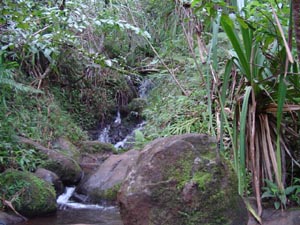 Napali falls