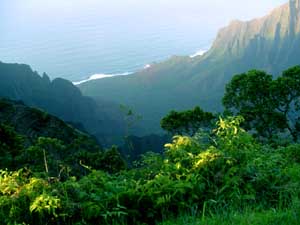 Pu'u O Kila Lookout
