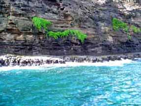 snorkel site