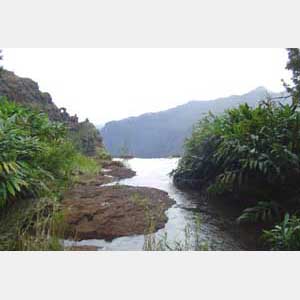 stream