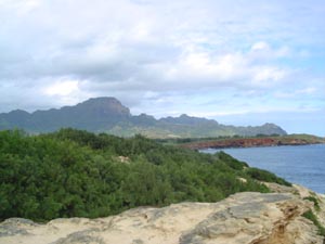 view
