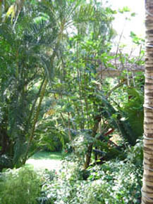 yard