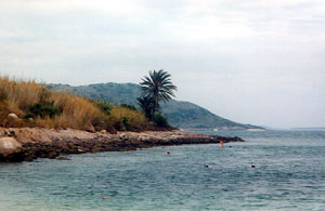 Deer Island