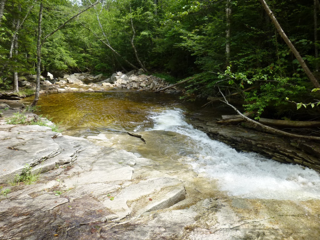 Fawn Pool