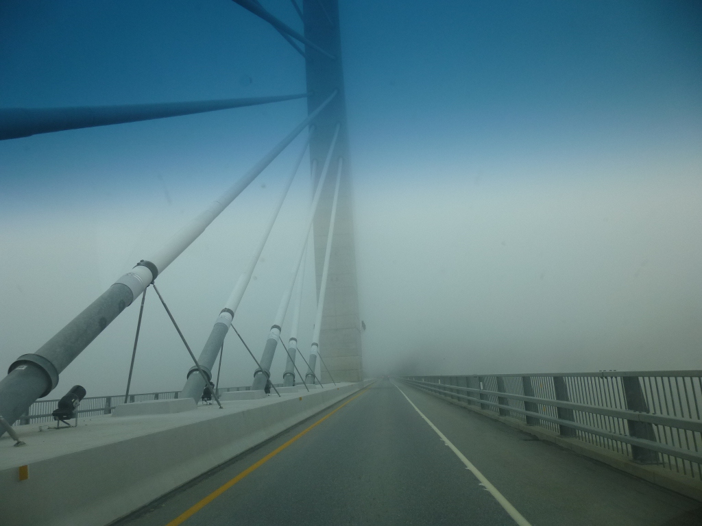 fog