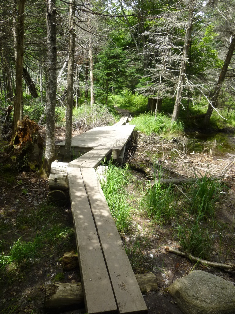 Lost Pond trail