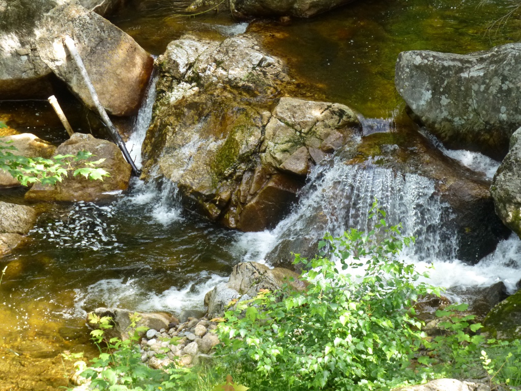 along the trail