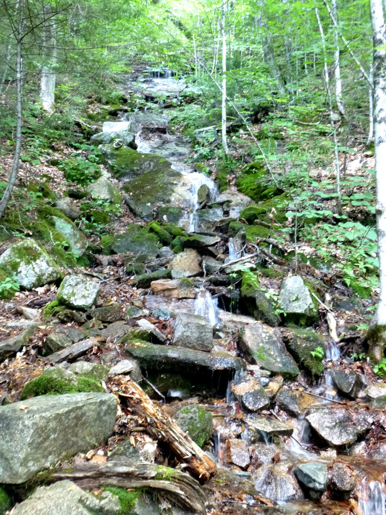 Along Ripley Falls trail