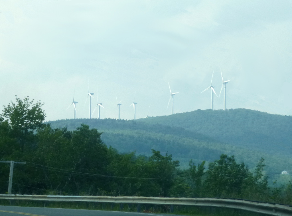 wind farm