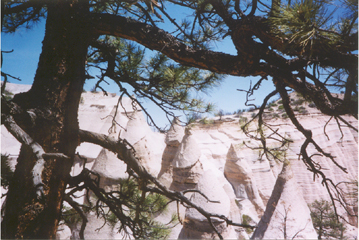tent rocks view