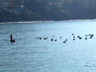 fishing with an audience