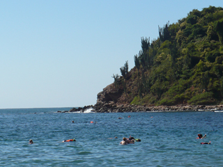snorkelers